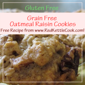 Grain Free Oatmeal Raisin Cookies Free Recipe from RedKettleCook.com!
