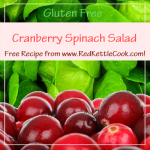 Cranberry Spinach Salad Free Recipe from www.RedKettleCook.com!