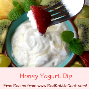 Honey Yogurt Dip that goes with the Fresh Fruit Salad Free Recipe from www.RedKettleCook.com!