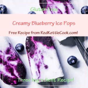 Creamy Blueberry Ice Pops Soup Free Recipe from RedKettleCook.com!