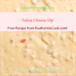 Salsa Cheese Dip a Free Recipe from RedKettleCook.com!